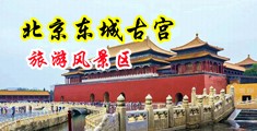 靠逼网站大鸡吧插骚逼中国北京-东城古宫旅游风景区